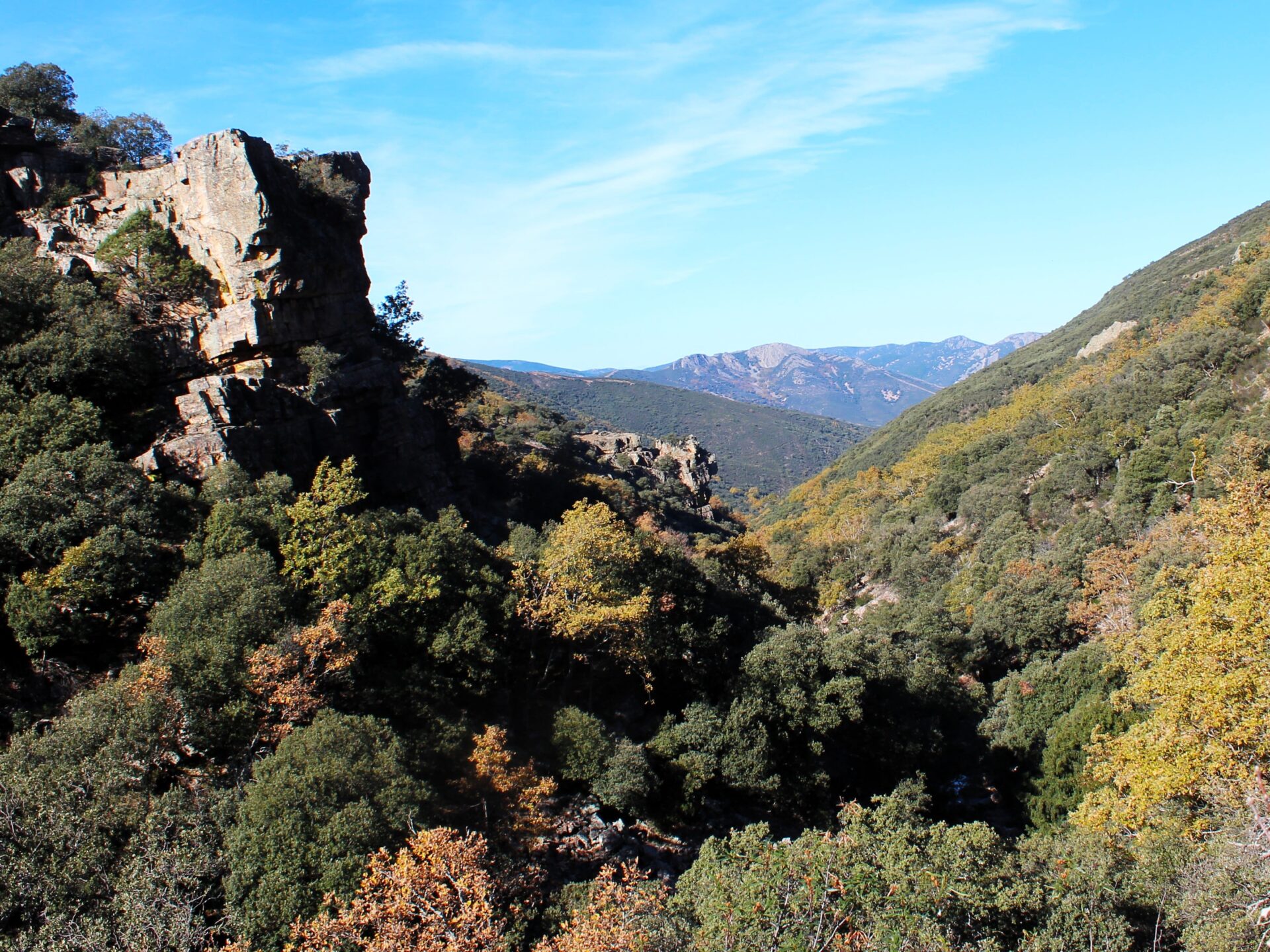 Bosque mediterráneo en Montes de Toledo