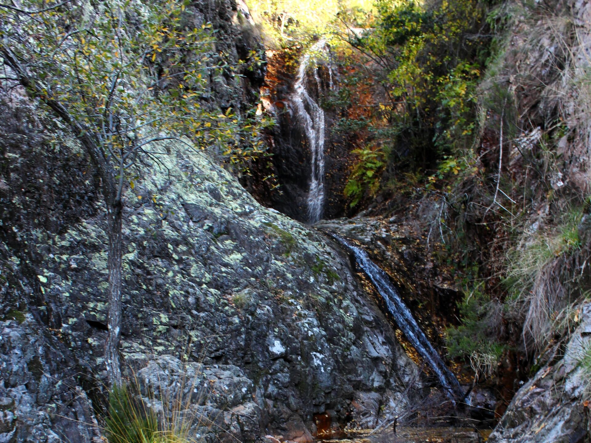 Ruta Chorro, Chorrera Chica y Rocigalgo (Cabañeros)