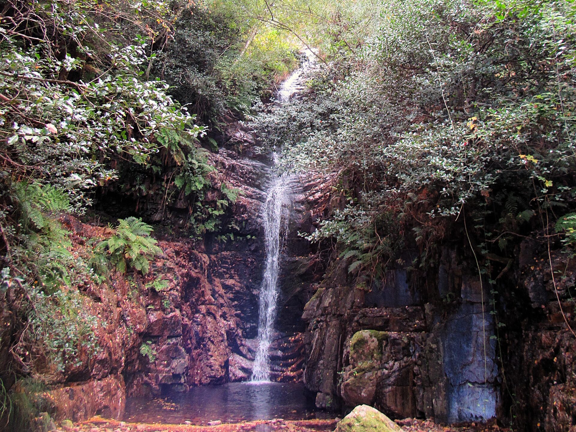 Ruta Chorro, Chorrera Chica y Rocigalgo (Cabañeros)