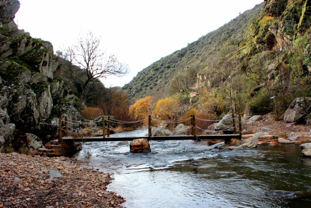 Puente sobre el Estena en Cabañeros