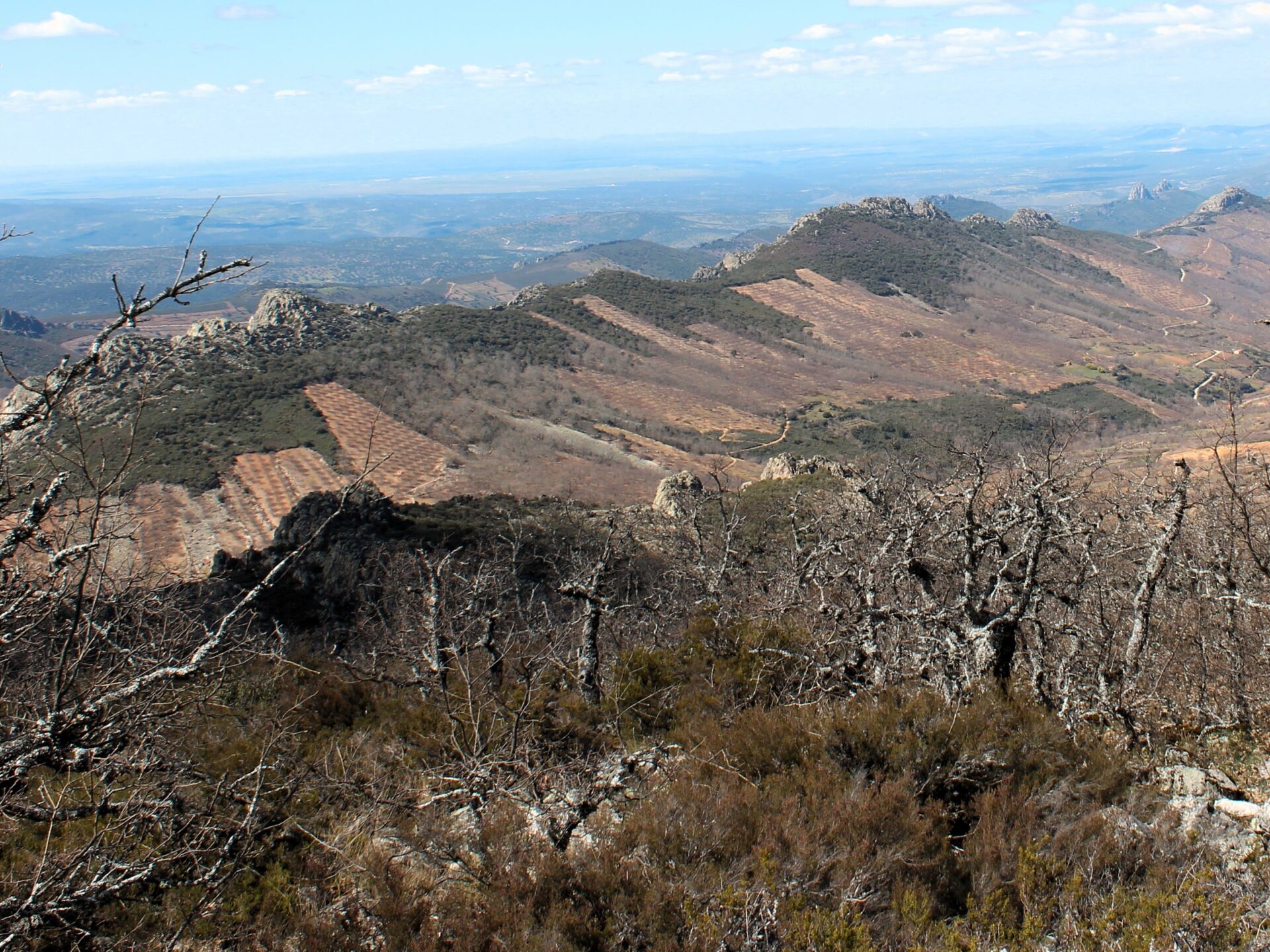 Anticlinal y Sinclinal de Guadalupe