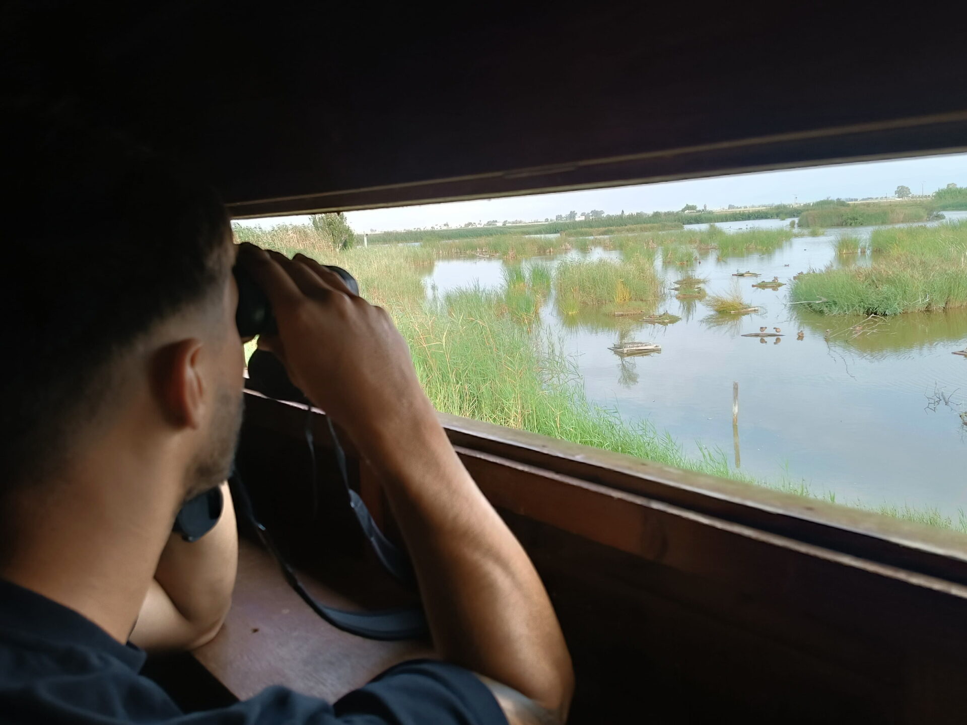 Reserva Natural Riet Vell. Observatorio Swarovski