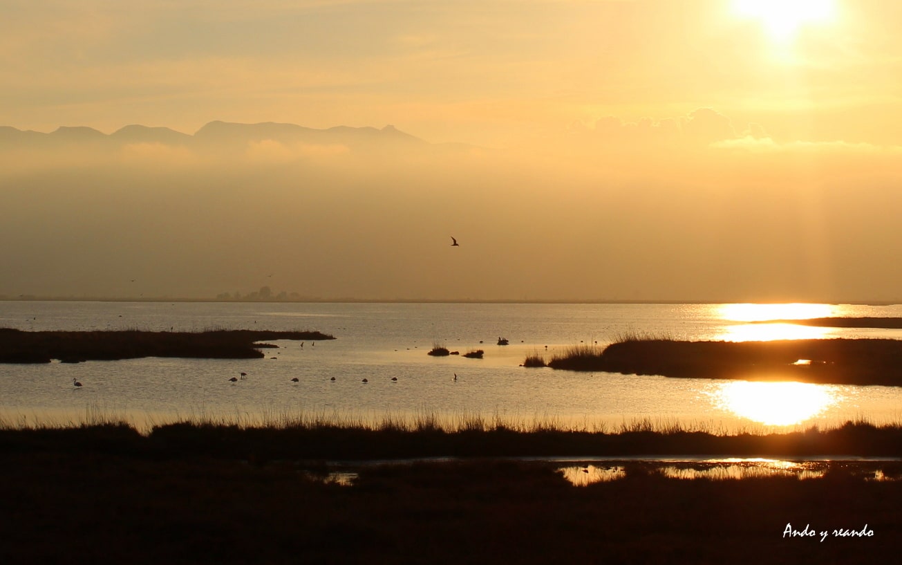 delta ebro tourism