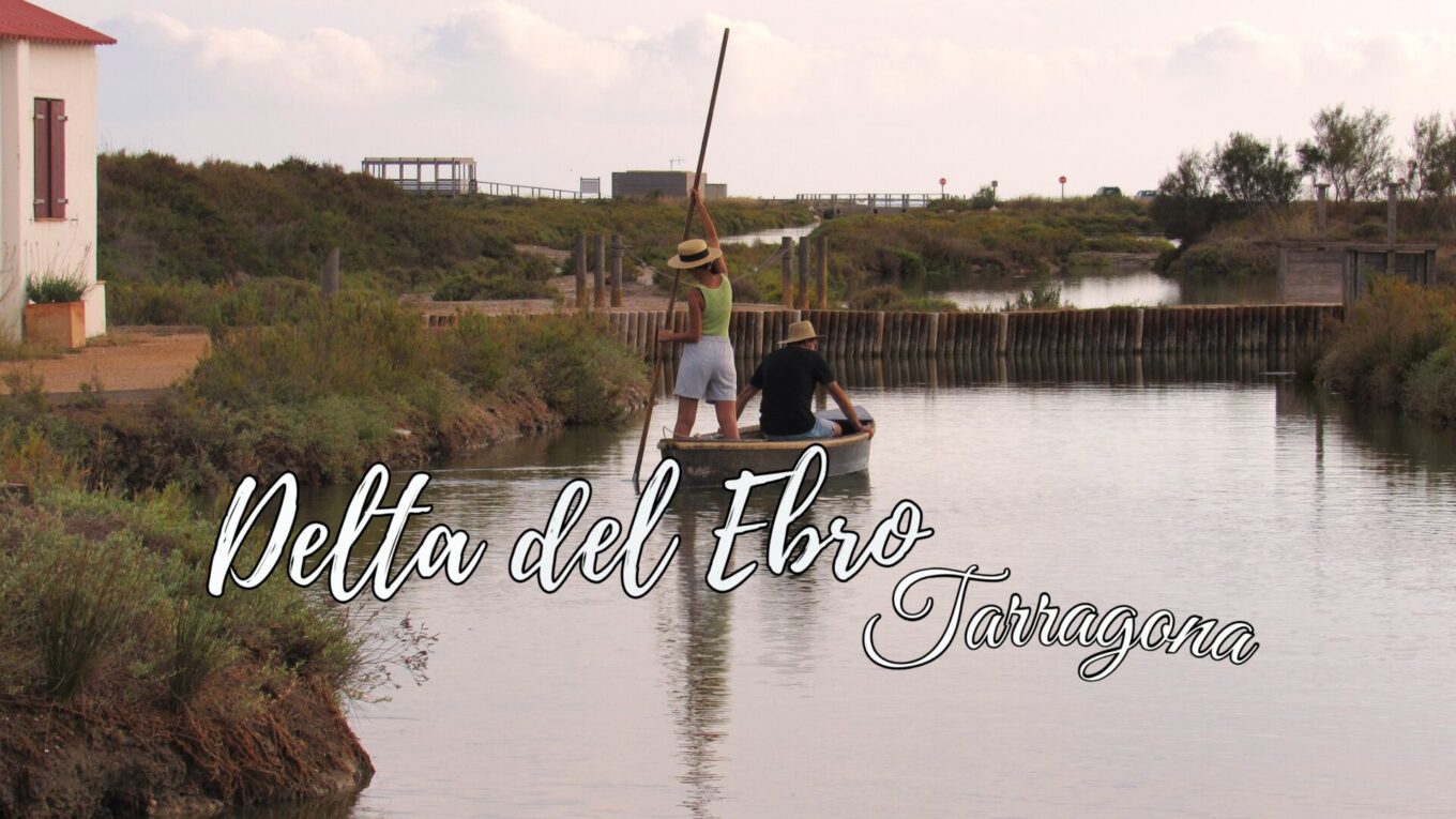Qué ver en el Delta del Ebro