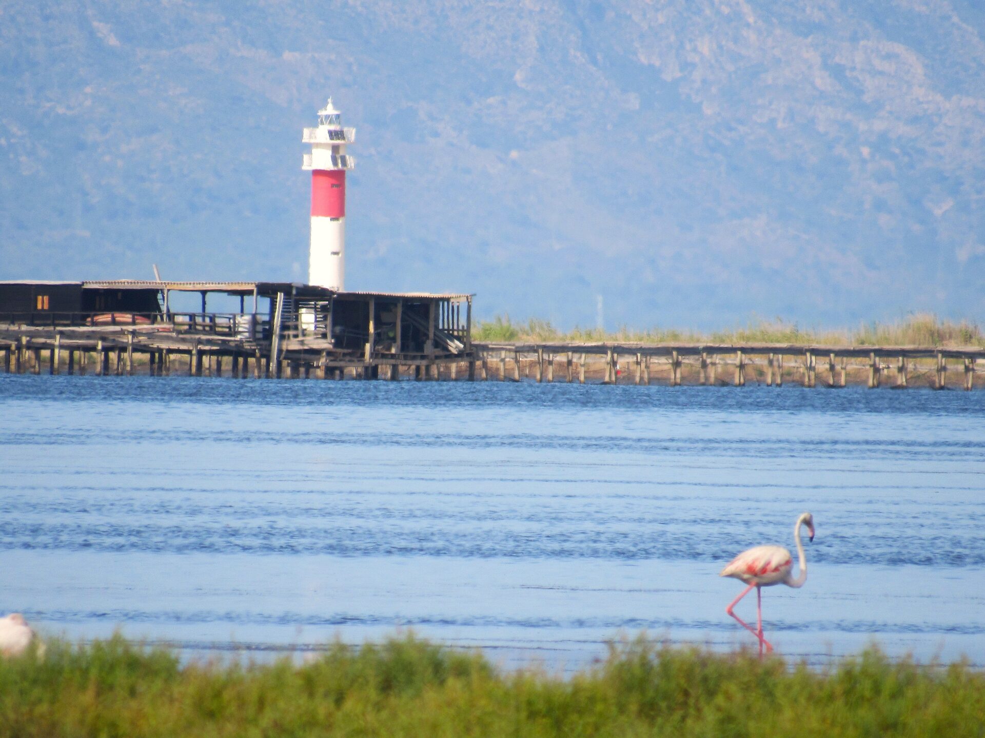 Qué ver en el Delta del Ebro en una semana