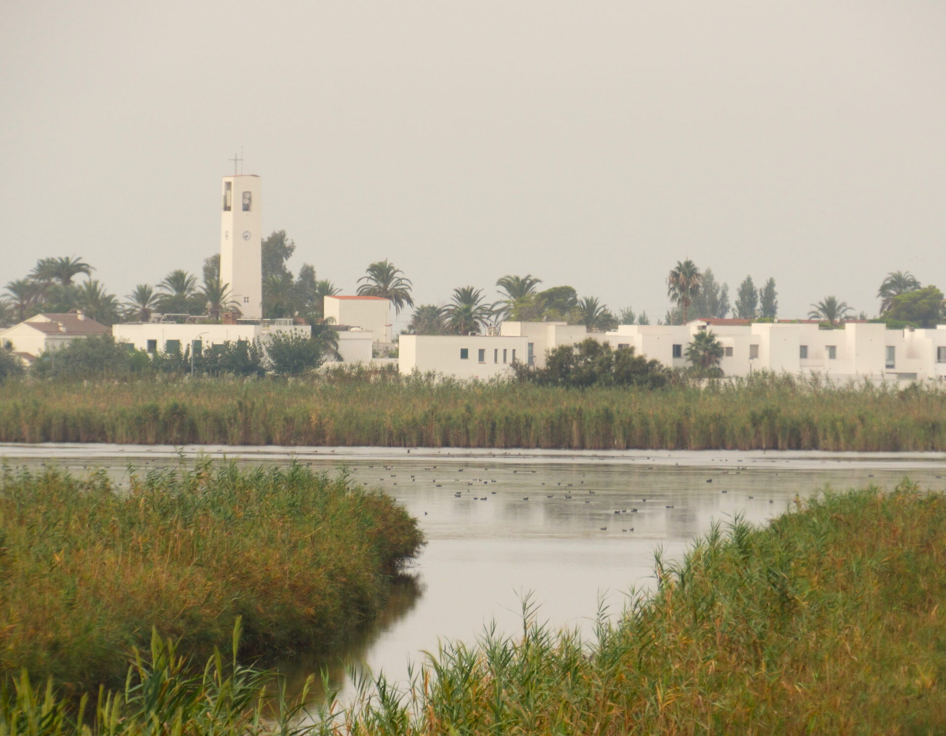 Poblenou, el pueblo blanco entre lagunas y arrozales