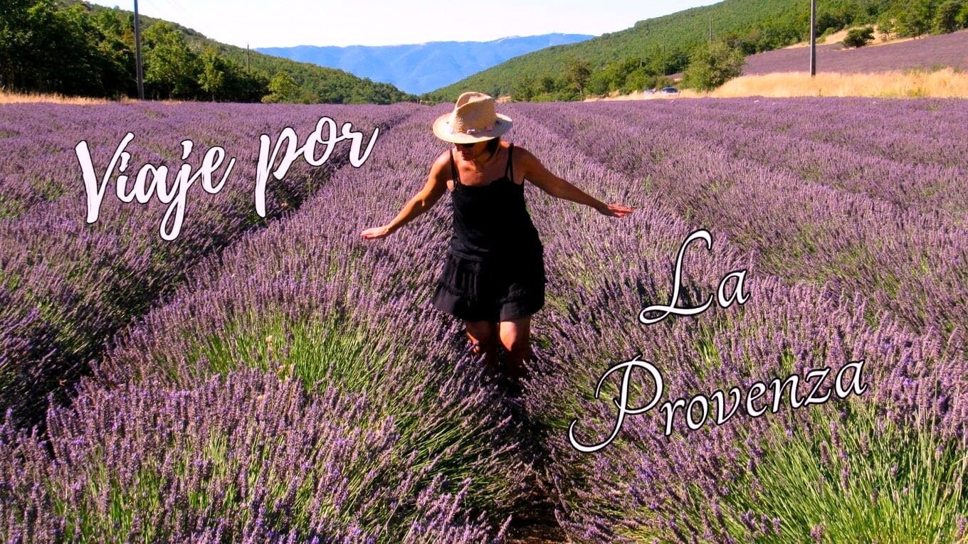 Viaje por la Provenza con lavanda en flor