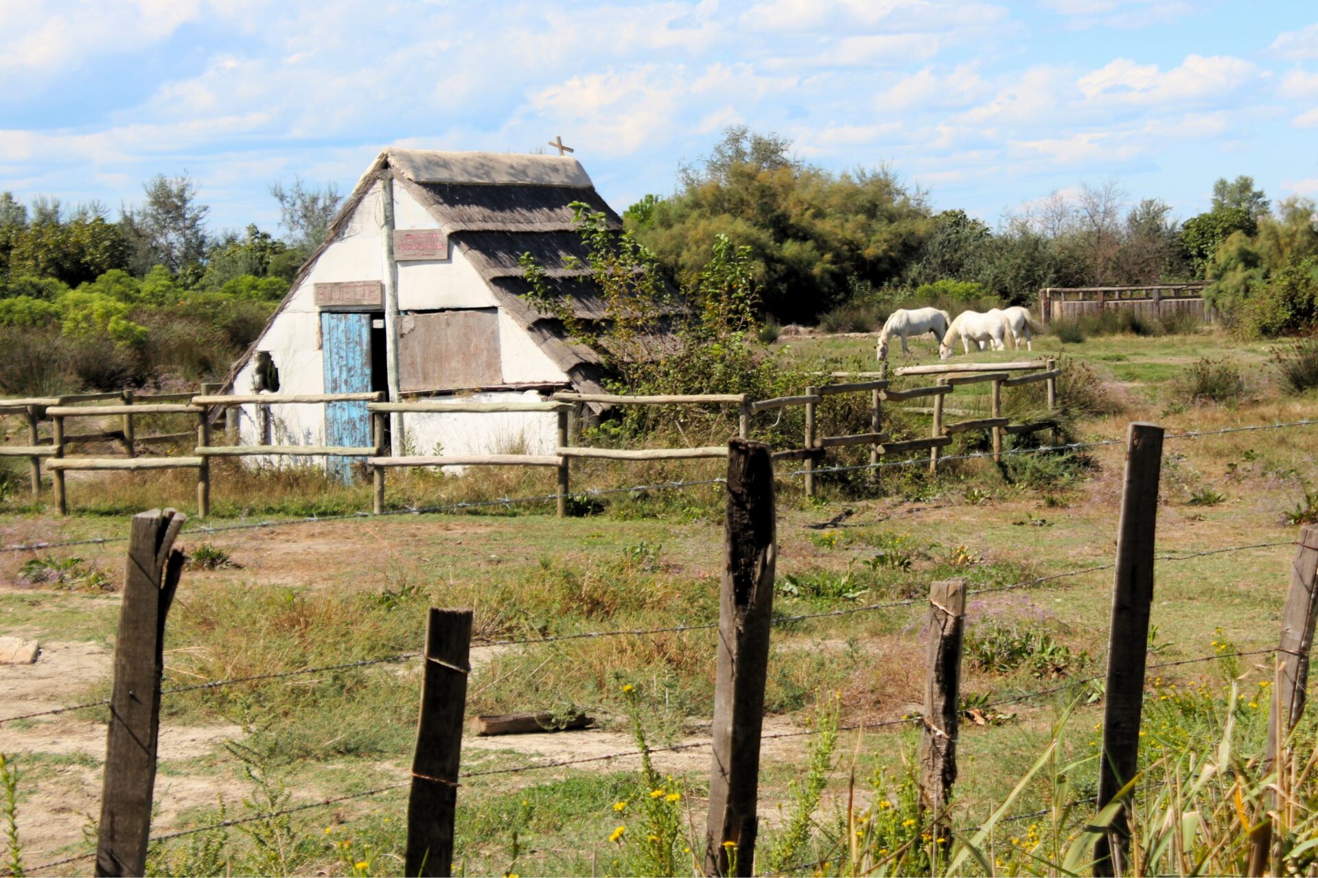 Qué ver en la Camarga