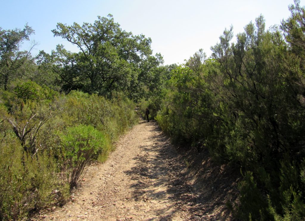 Senda La Viñuela (Cabañeros)