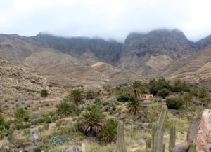 Ruta en coche por Gran Canaria Barranco de Guayedra