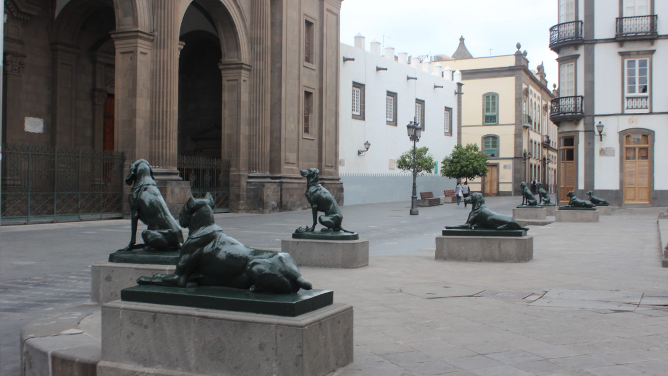 Los perros la catedral de Las Palmas