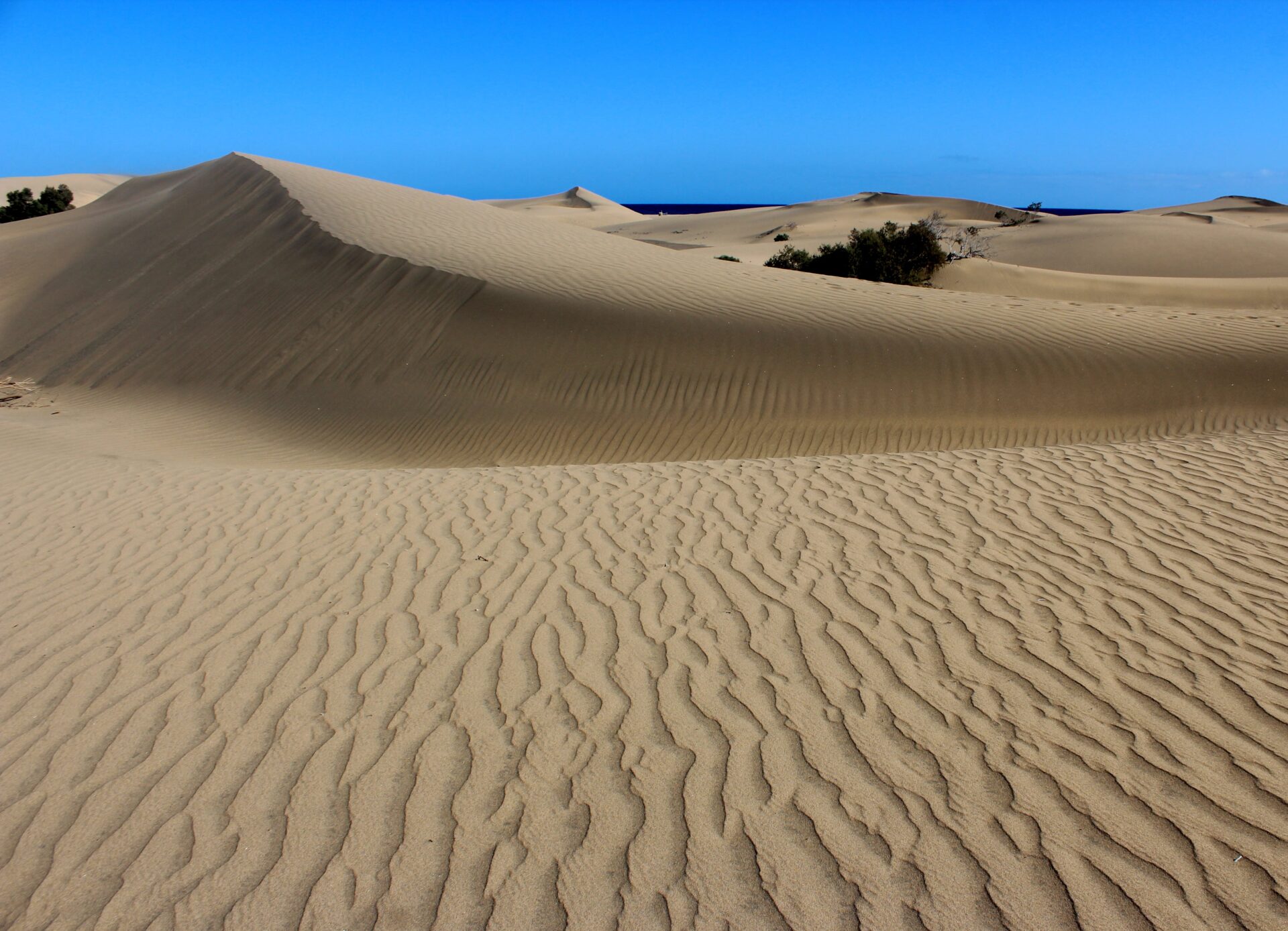 Qué ver en Gran Canaria. Dunas 