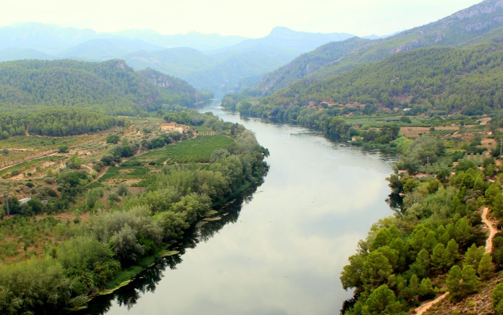 Vistas  del río Ebro desde el castillo de Miravet. Castillo de Miravet