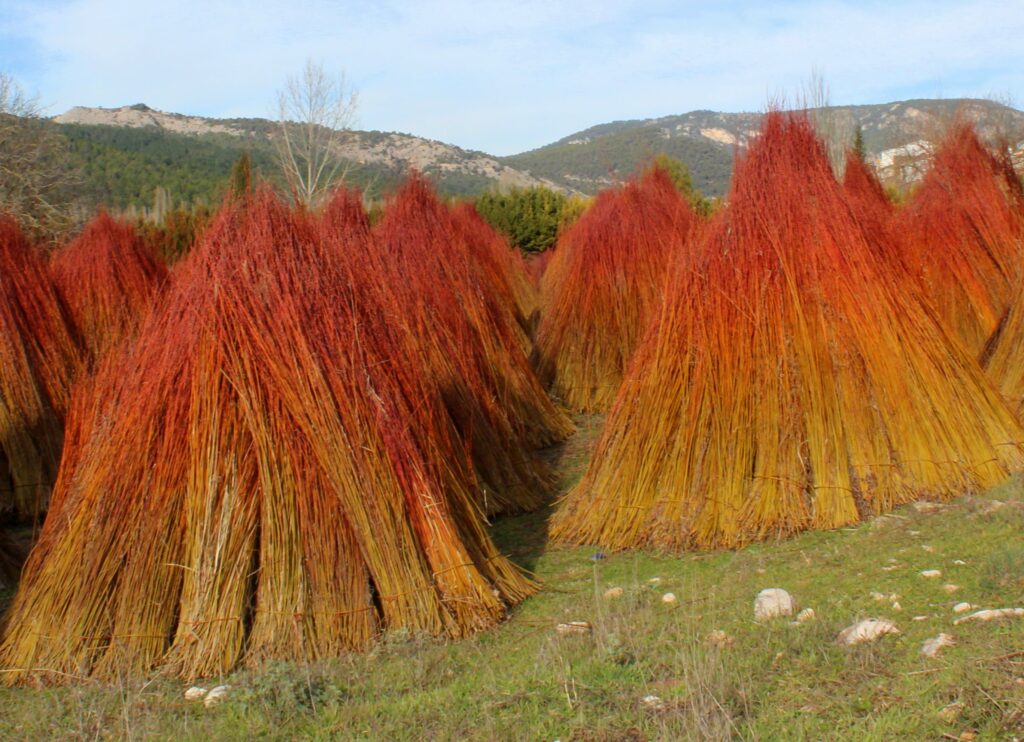 Ruta del mimbre en Cuenca. Carboneras de mimbre en Cañizares