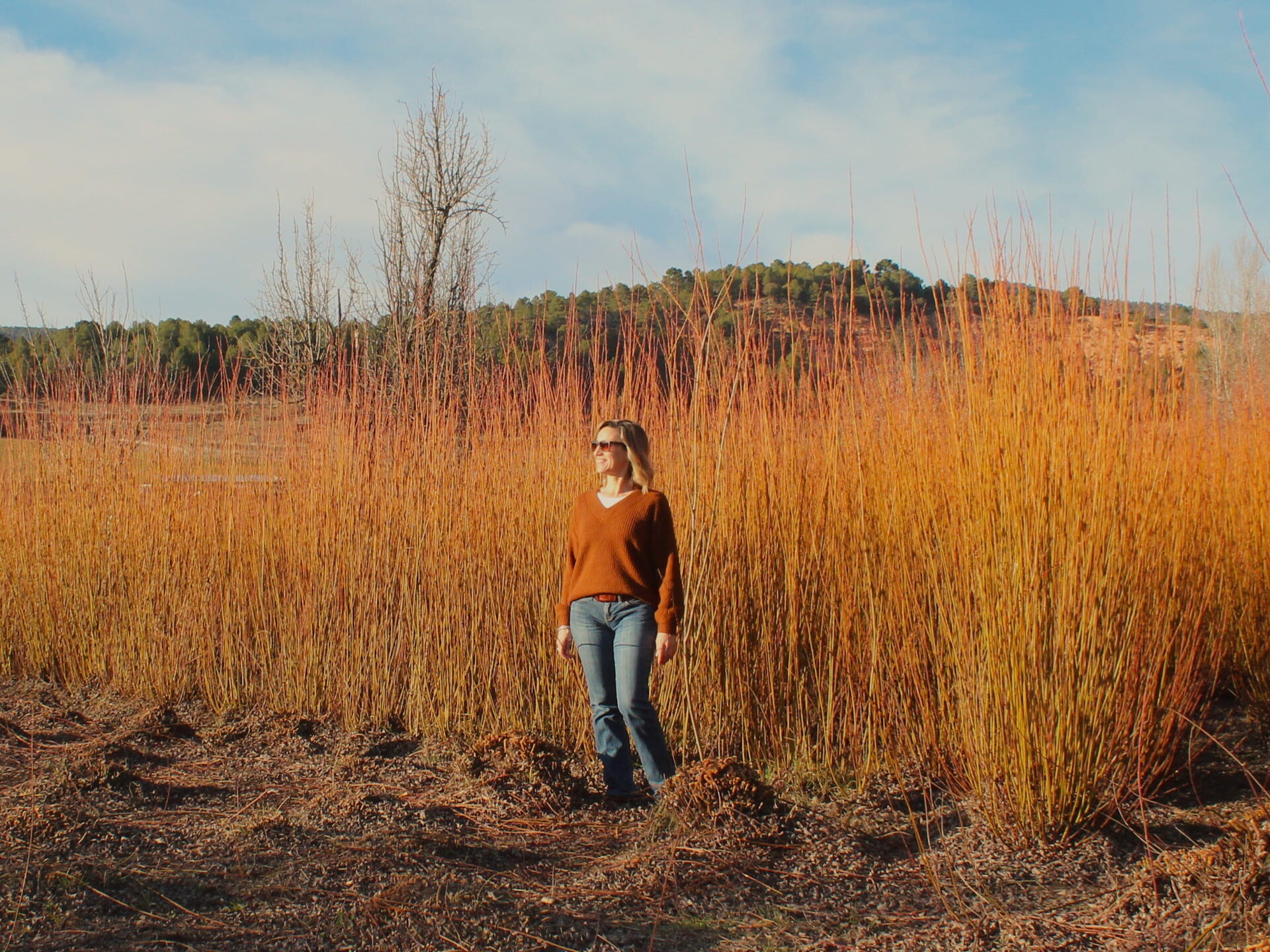 Ruta mimbre Cuenca Ruta-mimbre-cuenca-2026