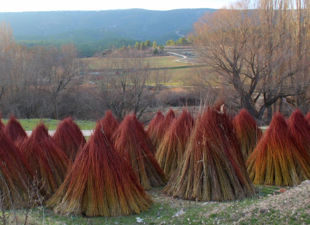 Ruta del mimbre en Cuenca. Carboneras de mimbre 