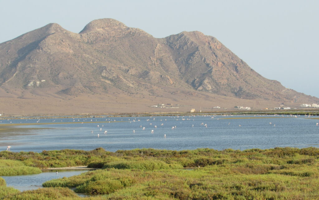 Salinas de Cabo de Gata
