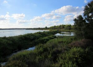 Espacios naturales de Formentera