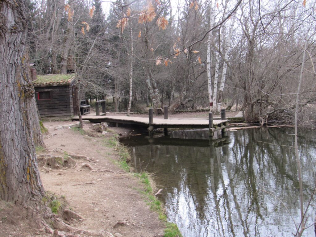 Ruta bosque finlandia Rascafría