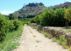 Qué ver y hacer en el Valle de Ricote Paseos por el Valle de Ricote