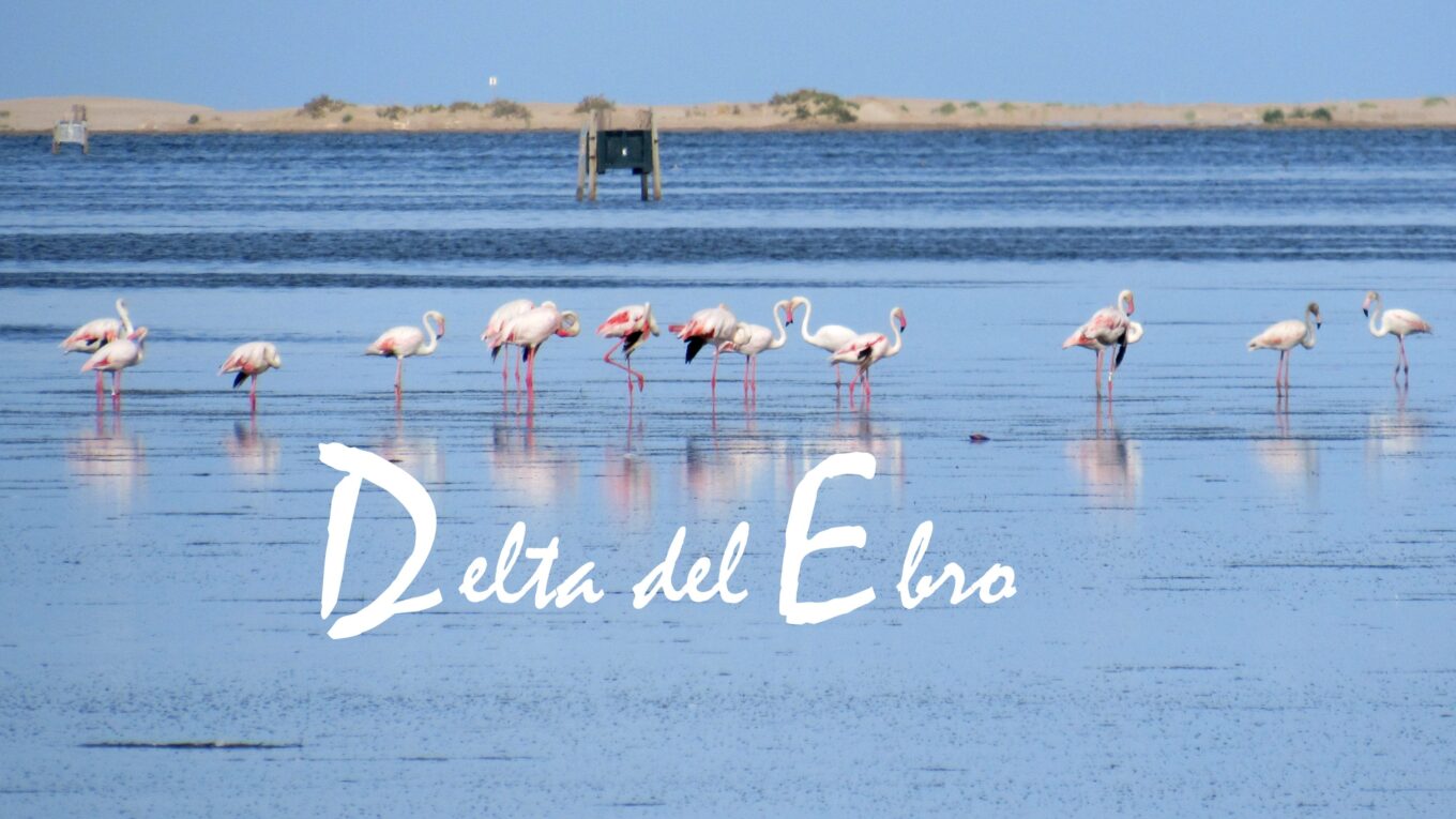 Delta del Ebro en un fin de semana