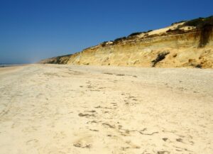 Playa de Castilla Matalascañas Qué ver y hacer gratis en Doñana
