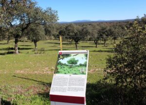 Dolmen de Lácara en Mérida (Badajoz) Ruta interpretativa dolmen de Lácara
