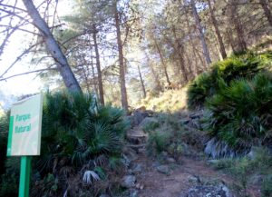 Ruta por el Parque Nacional Sierra de las Nieves