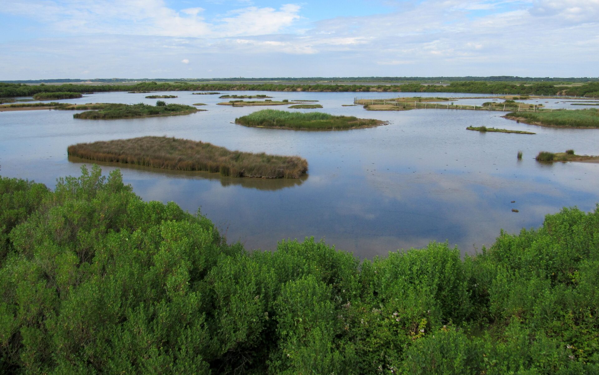Reserva natural en la Bahía de Arcachon Delta del Leyre en la bahía de Arcachón