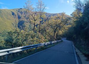 Carretera hacia Peñalba de Santiago