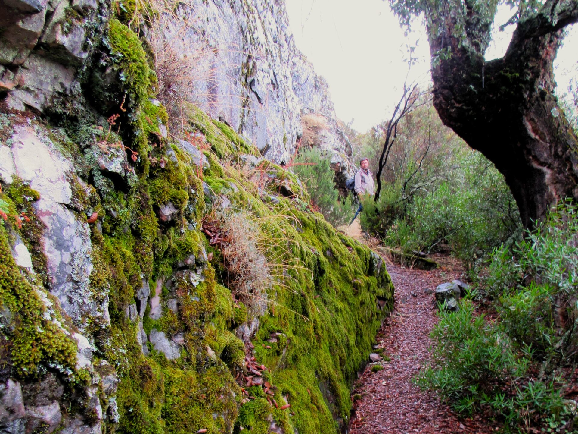 Qué ver en Cabañeros
