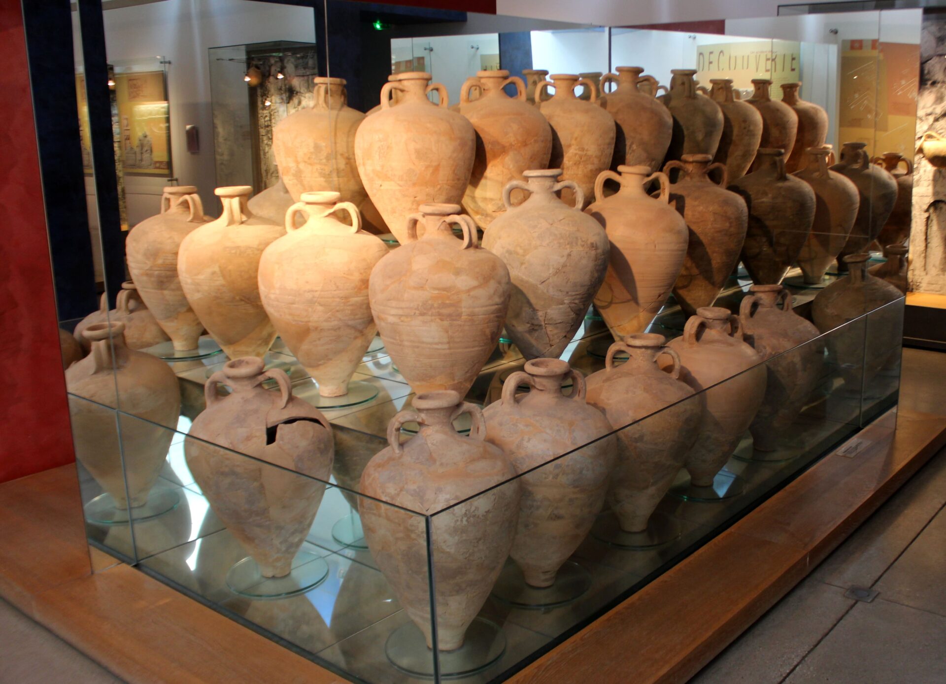 Amphoralis en Narbona
