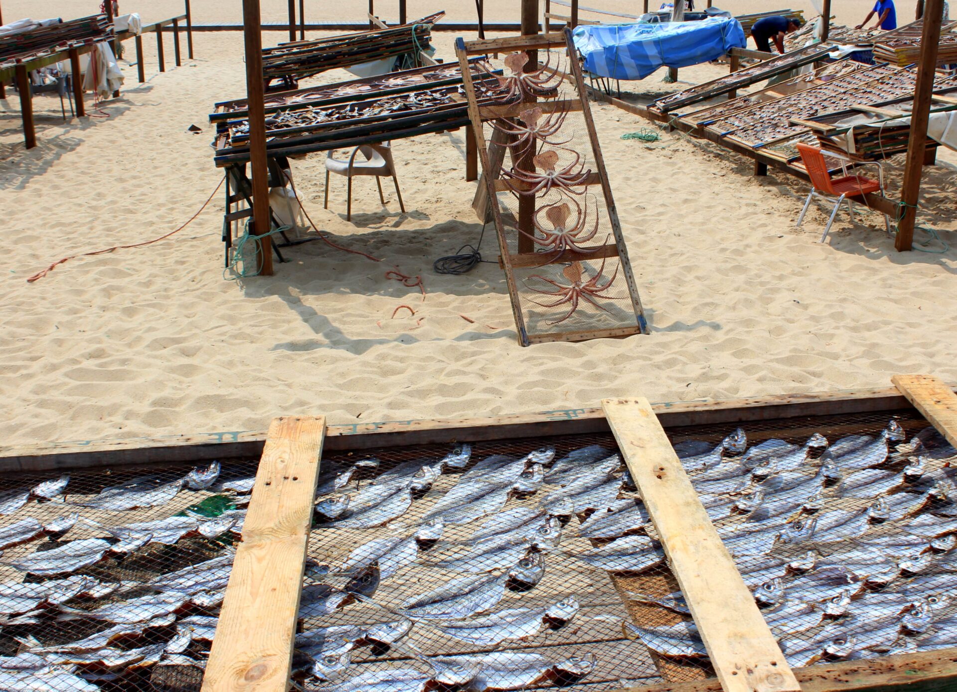 Museo del pescado seco en Nazaré