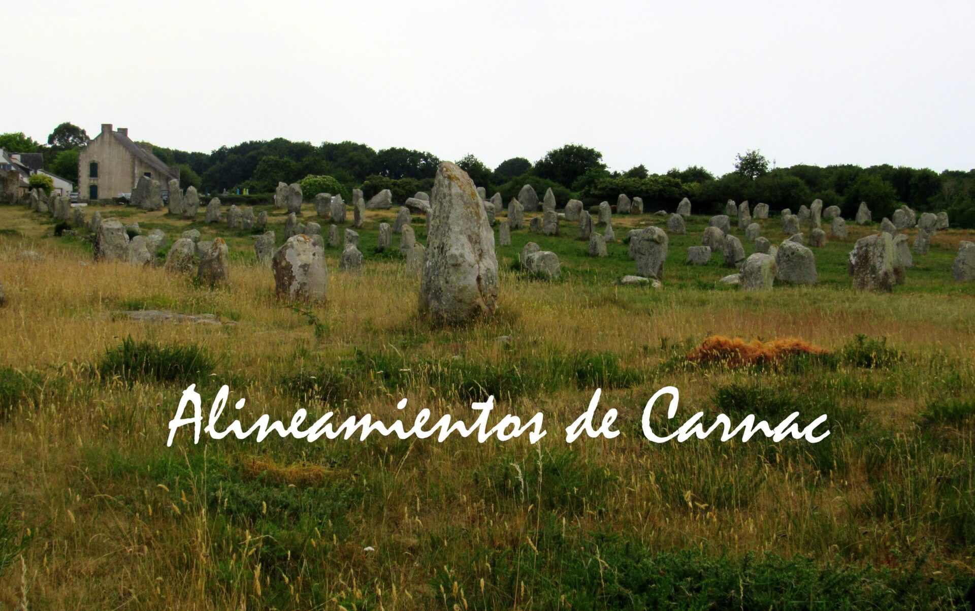 Menhires en Bretaña (Francia)