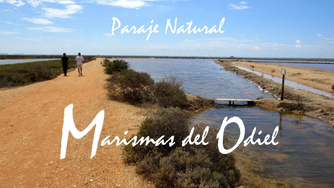 Marismas del Odiel