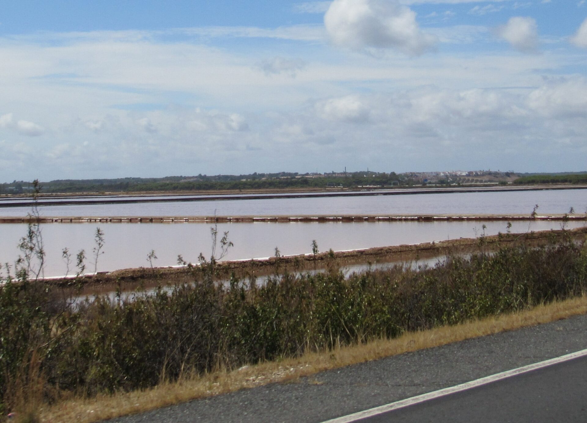 Mejor época para visitar las marismas del Odiel Salinas de las Marismas del Odiel