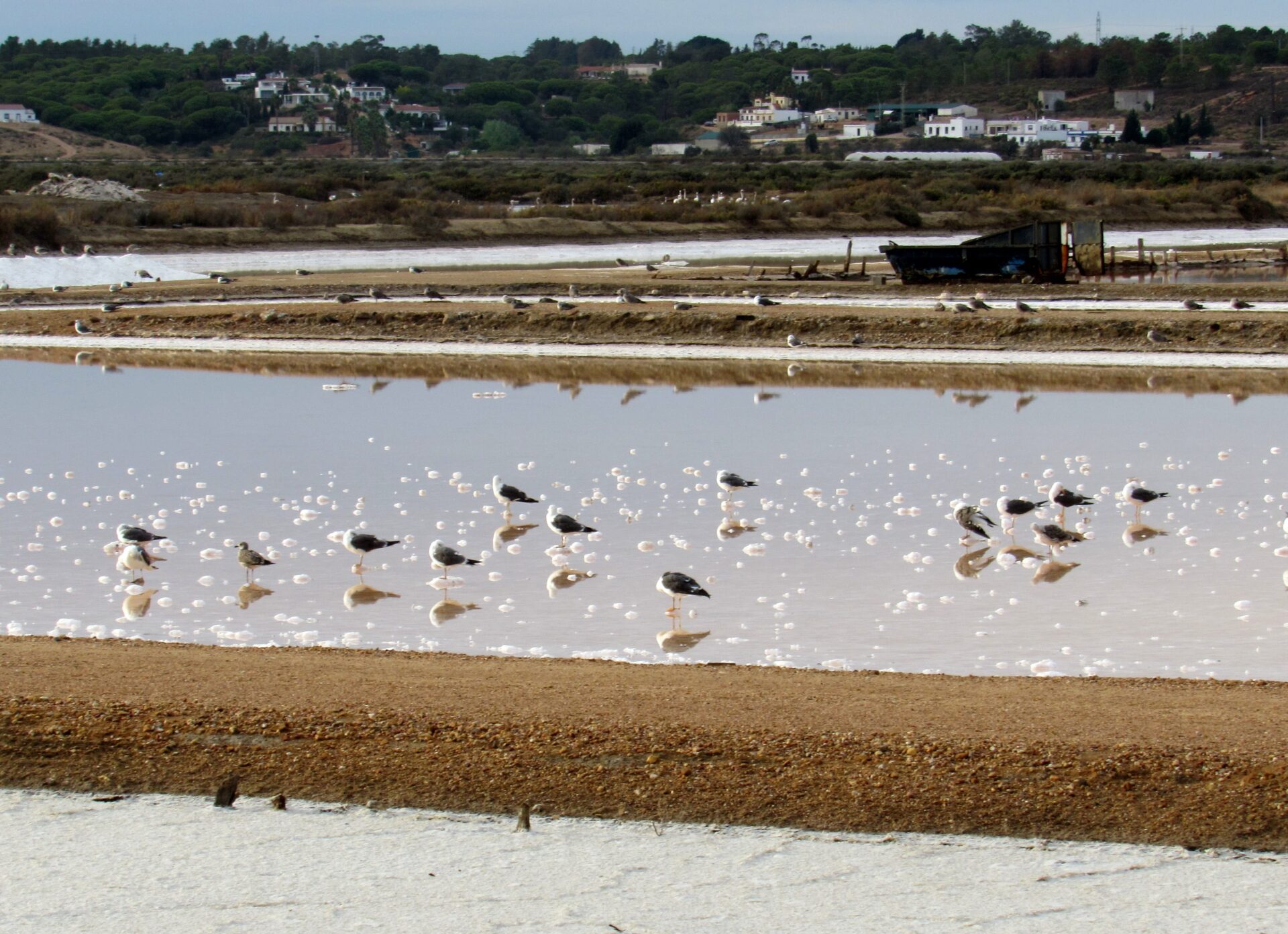 Salinas de Isla Cristina (Huelva) Qué ver en Costa de la Luz Huelva