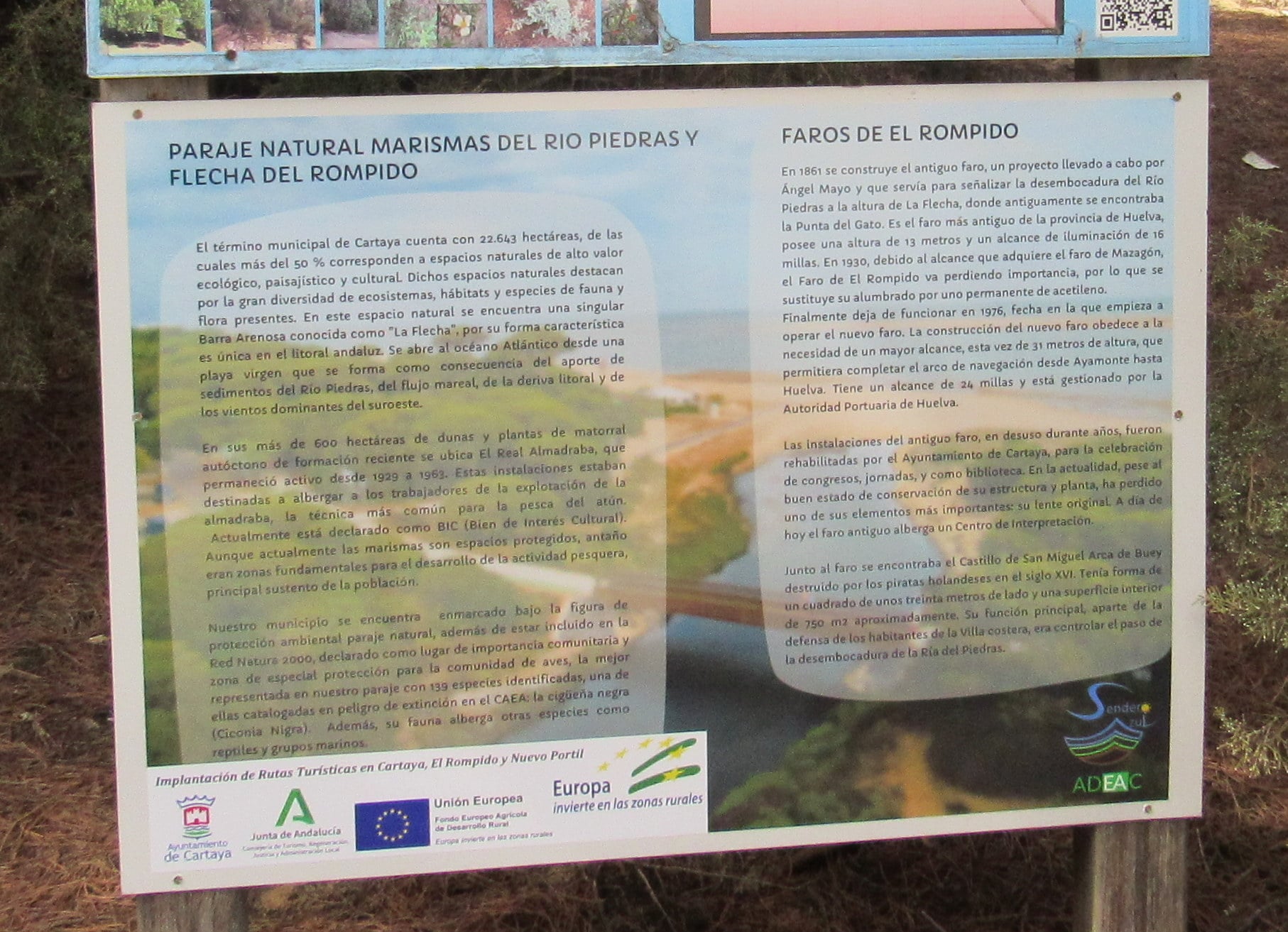 Paraje Natural de las Marismas del río Piedras