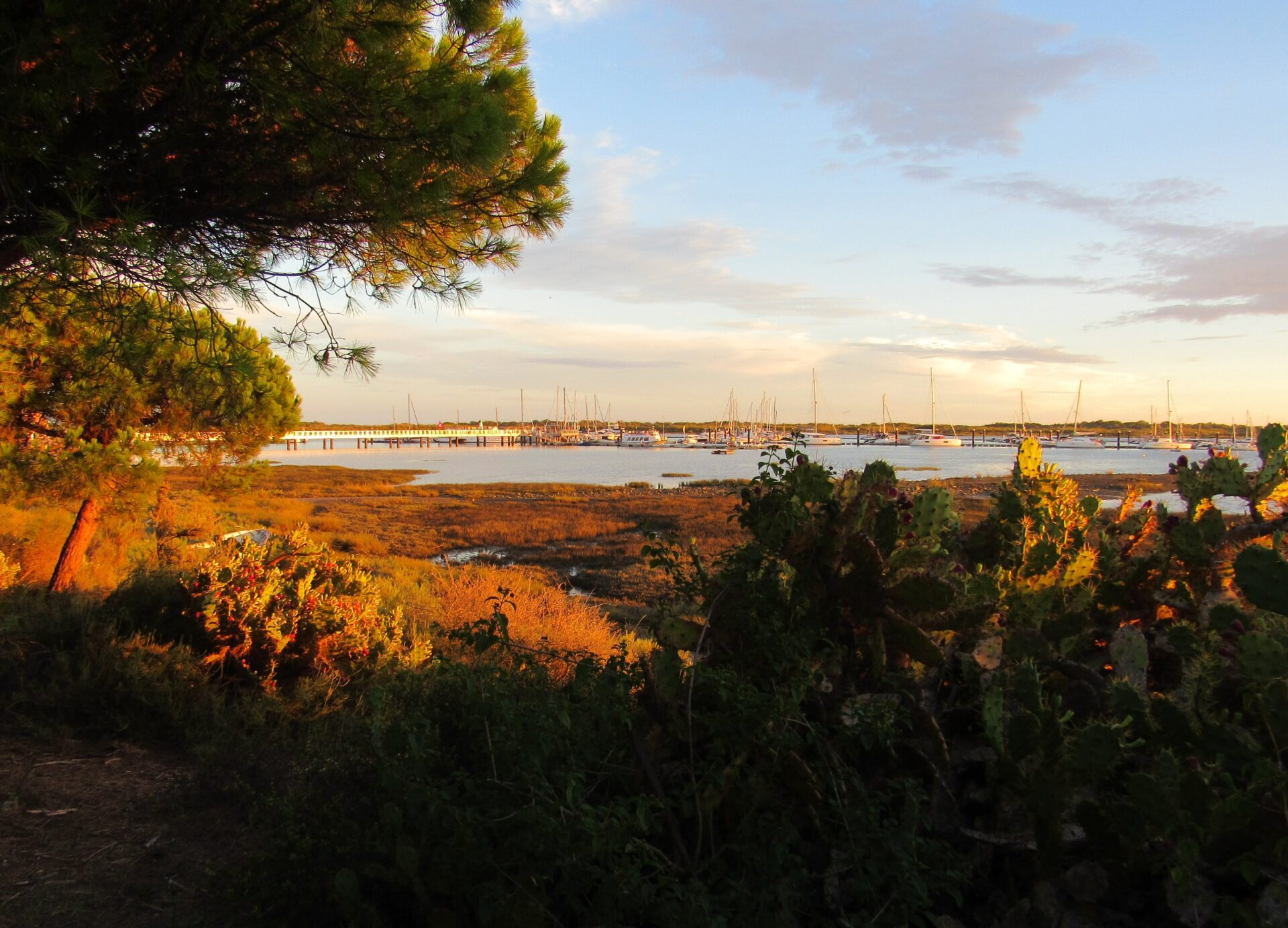 Qué ver en Costa de la Luz Huelva Paraje Natural Marismas del río Piedras.