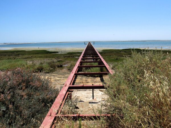 Antiguo muelle del Parque Natural de ría Formosa