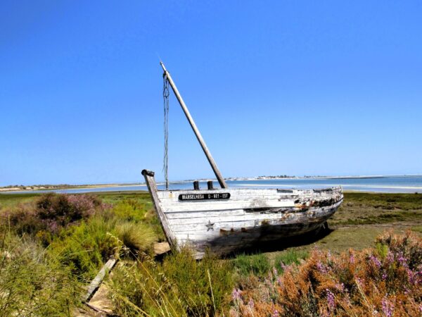 Barco abandonado en el Parque Natural de ría Formosa