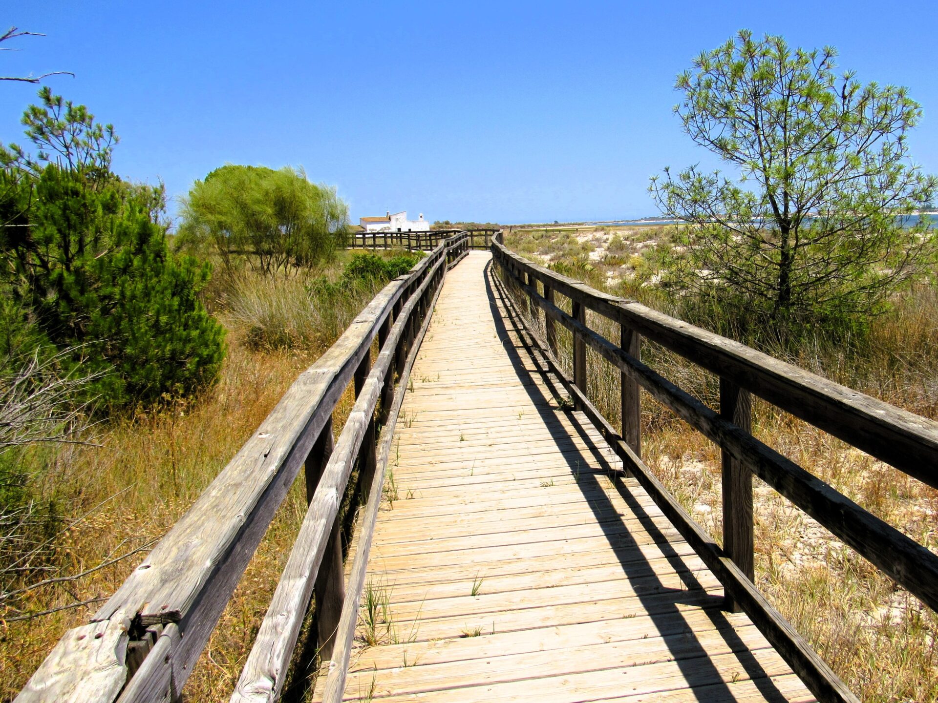 Parque Natural de Ría Formosa