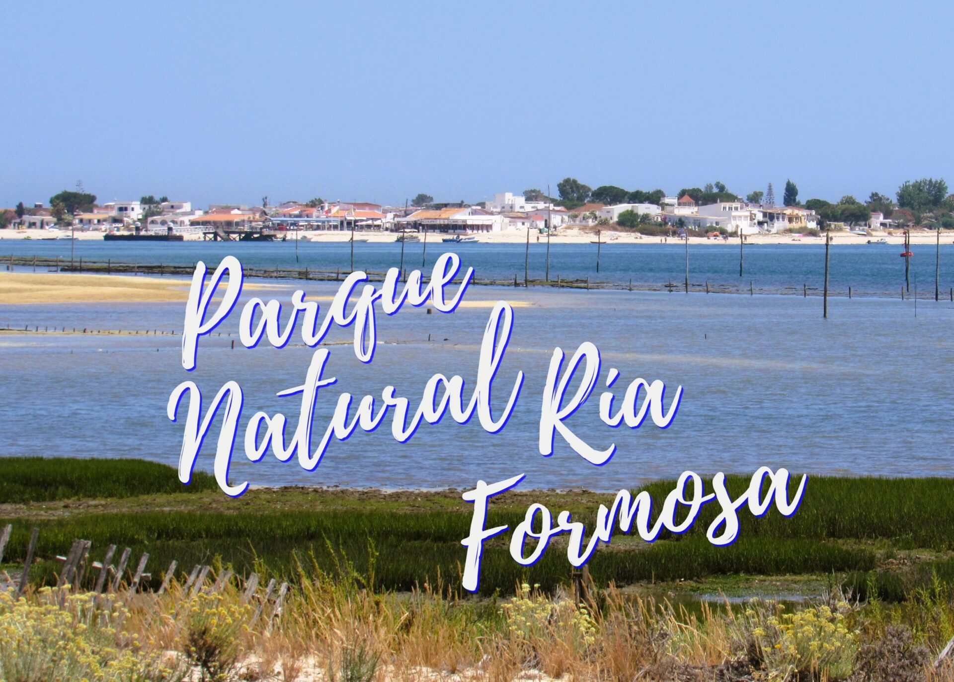 Parque Natural de Ría Formosa