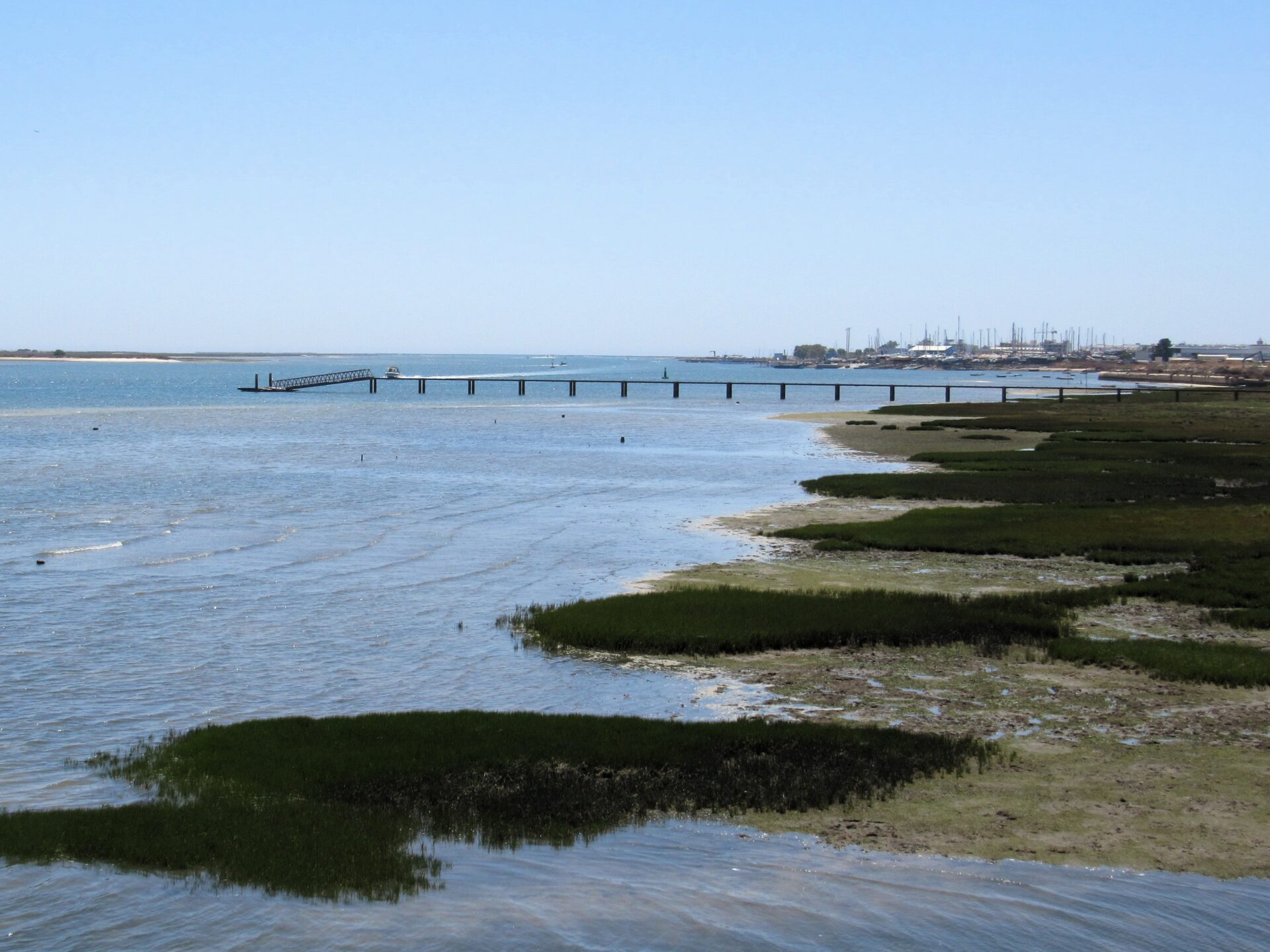 Ría Formosa 