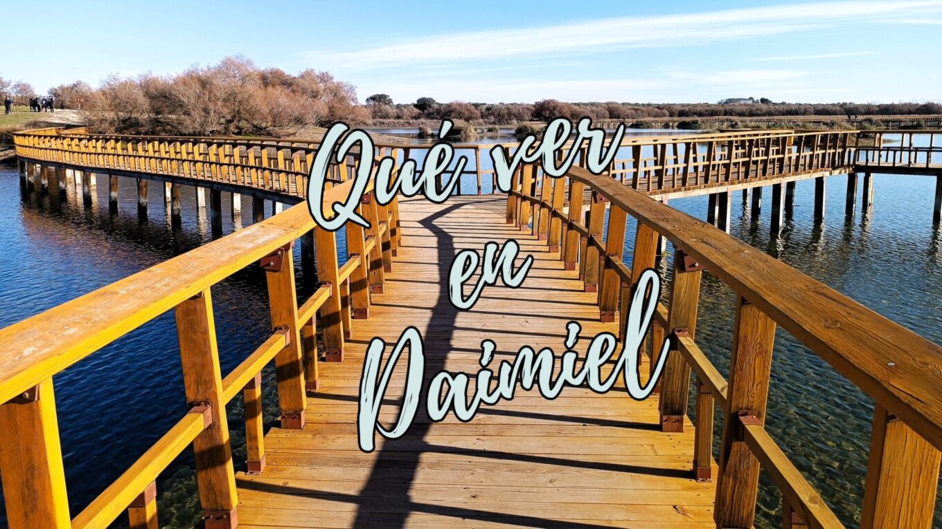 Lo mejor de Daimiel (Ciudad Real)