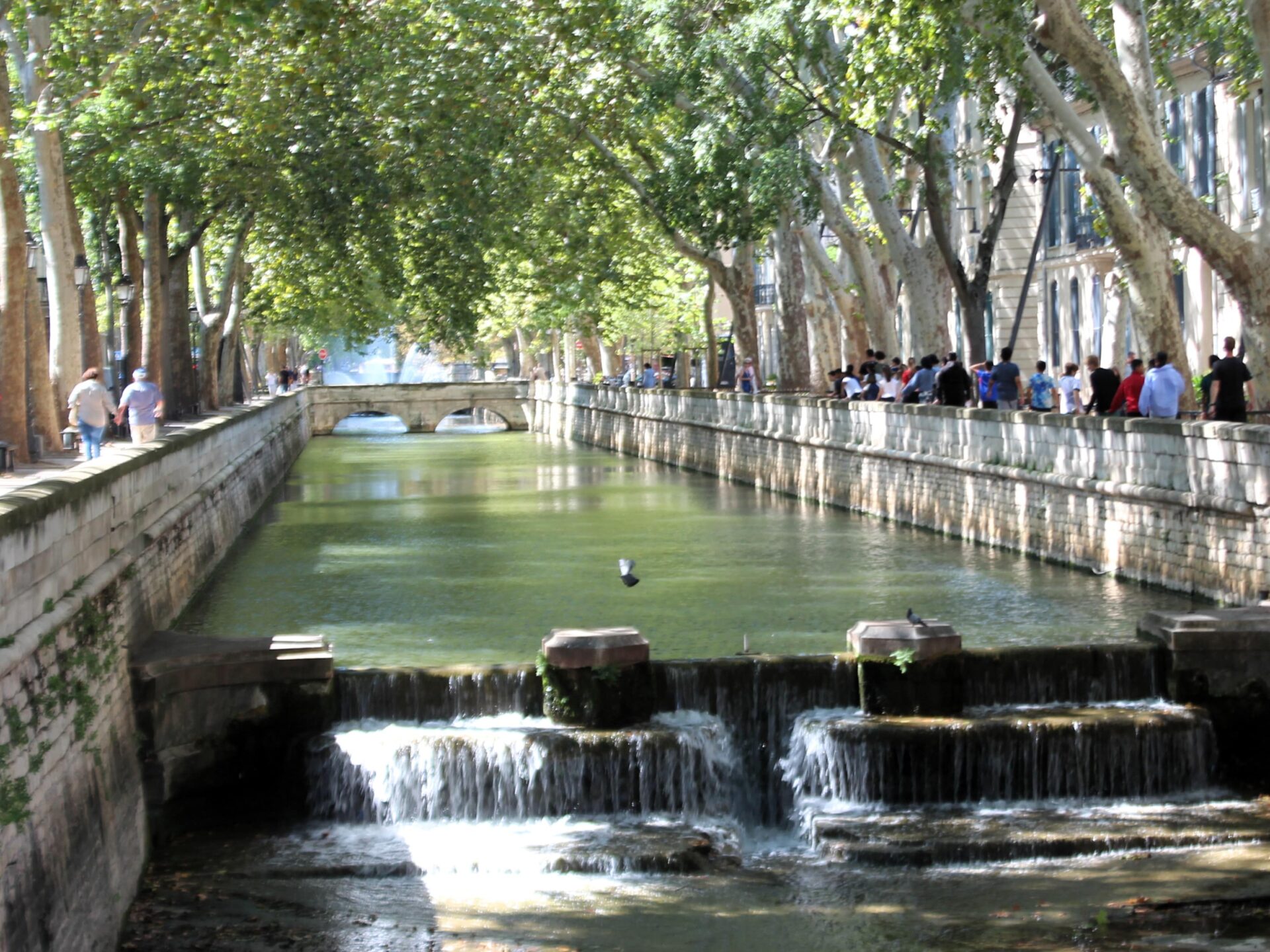 Qué ver en Nîmes