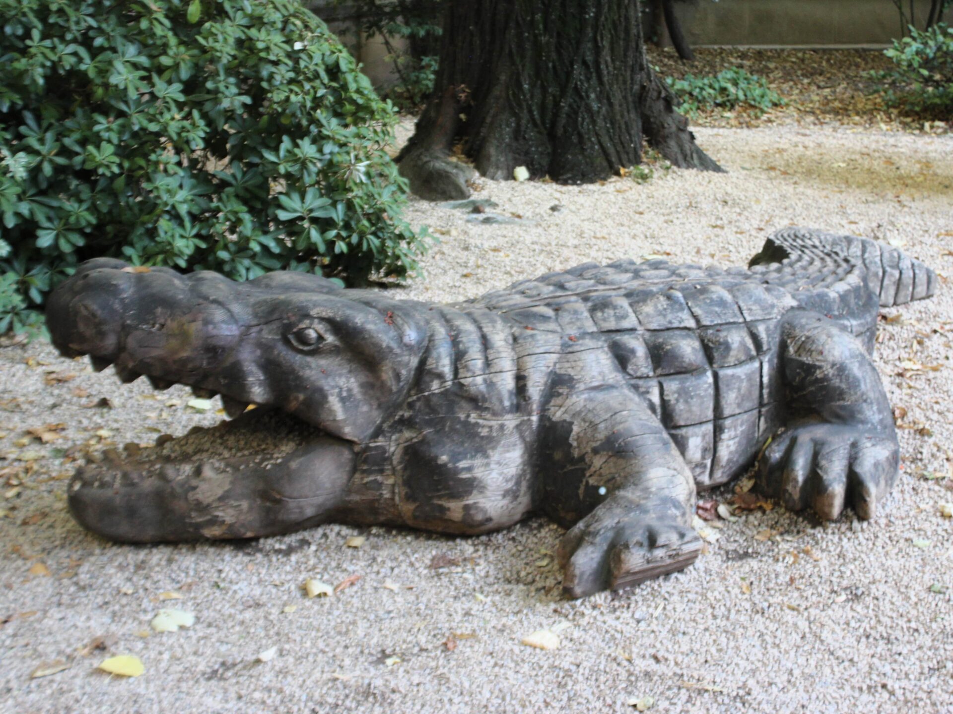 Cocodrilo de Nîmes
