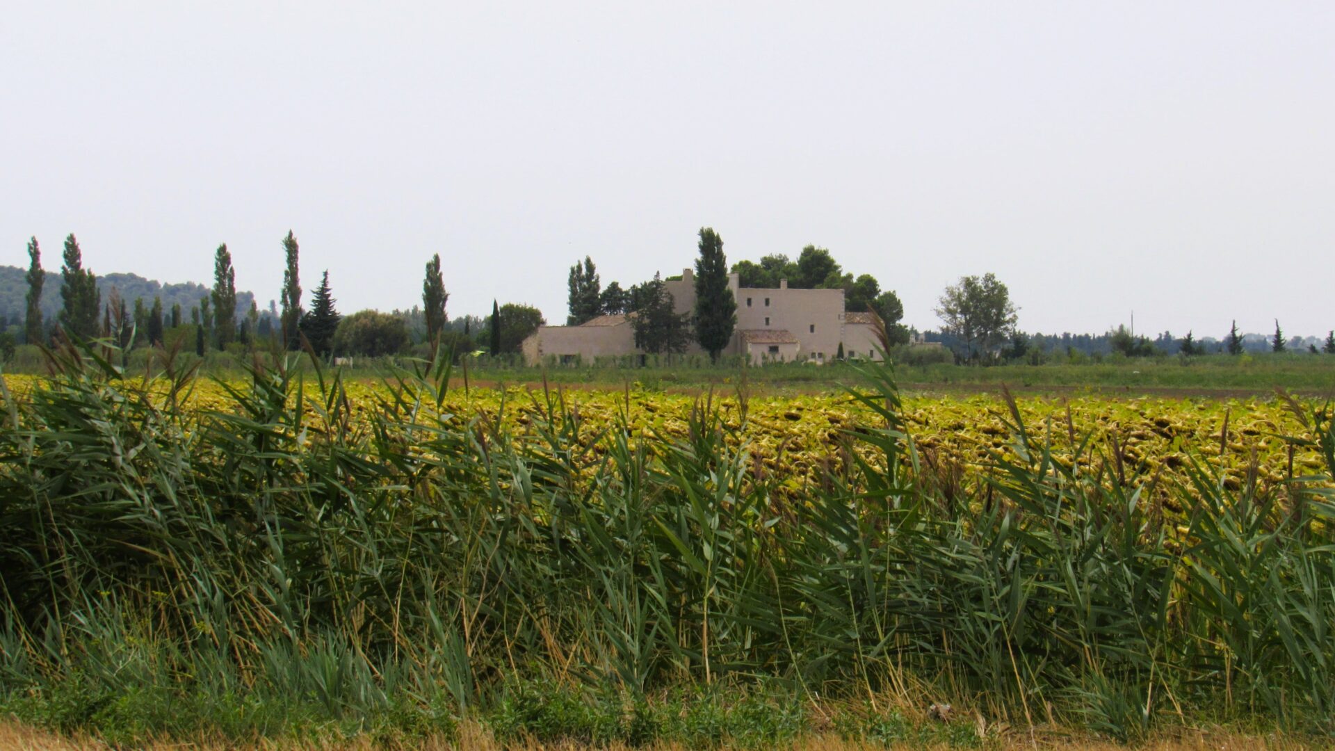 Qué ver en la Provenza (Francia)