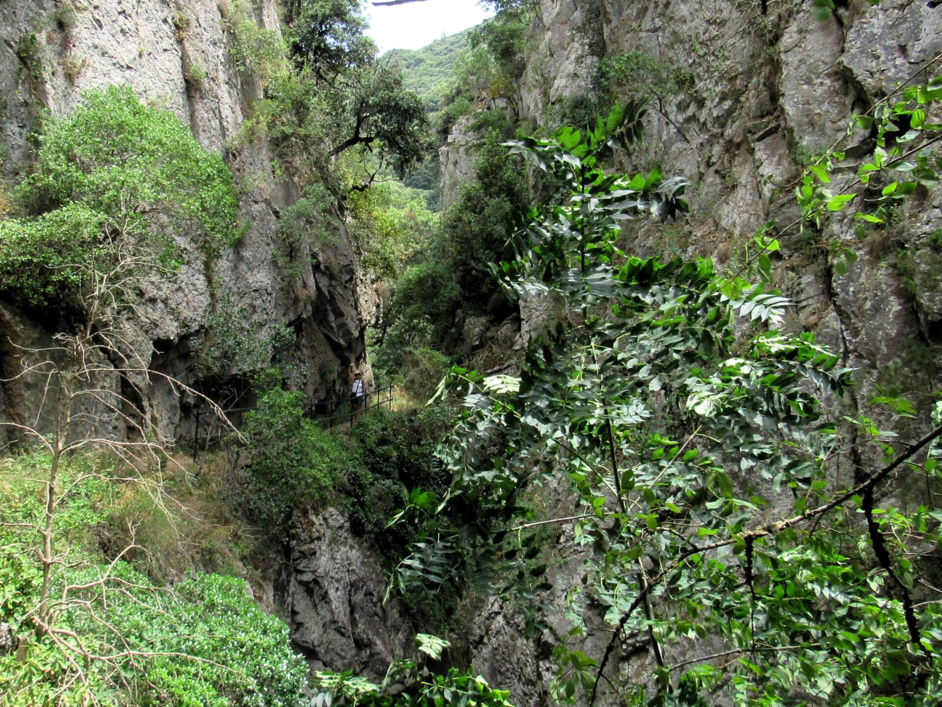 Ruta de senderismo garganta de Saint-Jaume Ruta Castillos cátaros de Francia