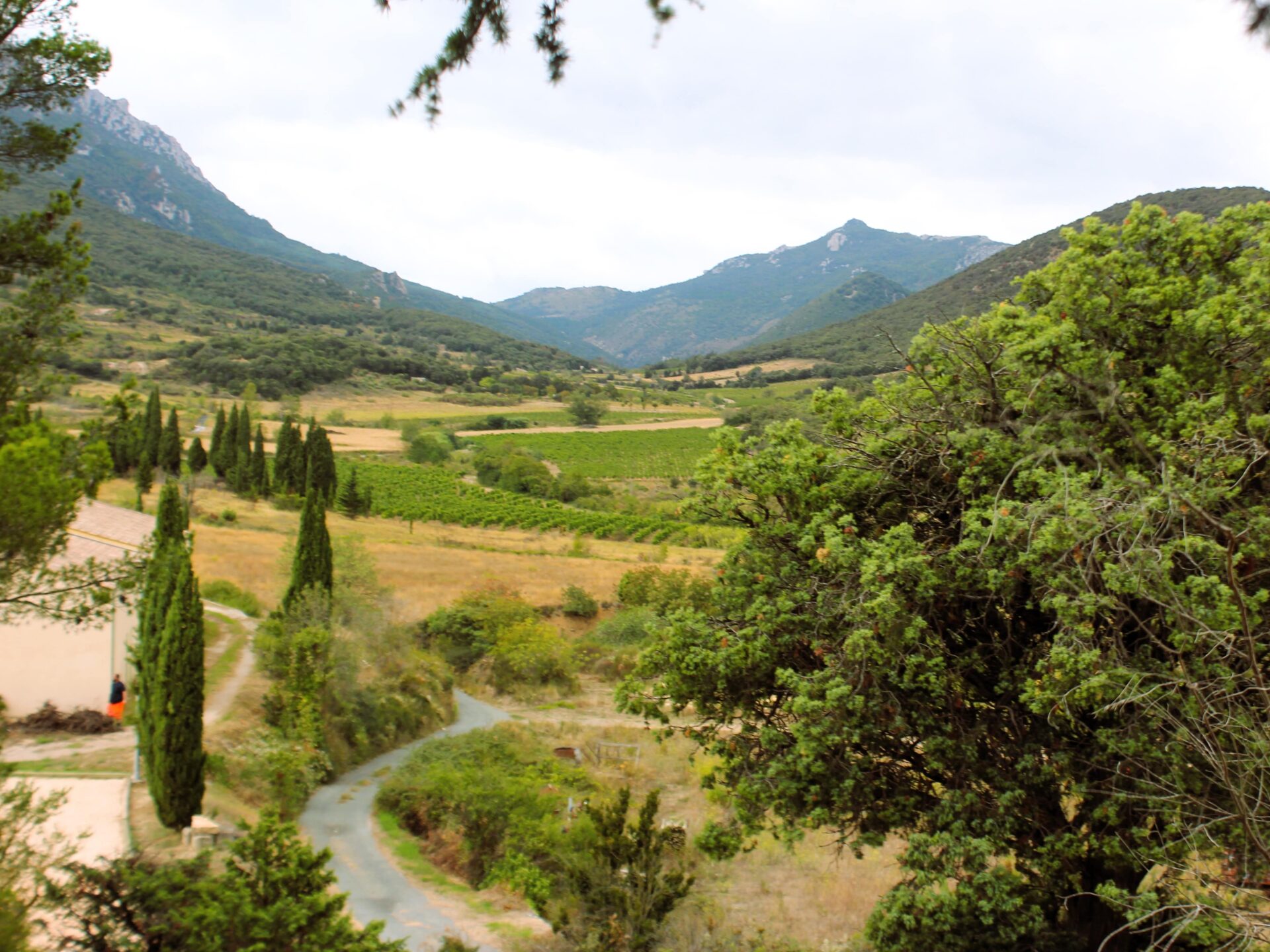 Ruta de los Castillos Cátaros Ruta de los Castillos Cátaros